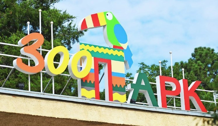 ЗОО